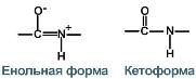 кетоформа и енольная форма пептидной связи