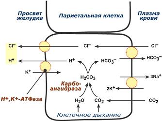 Схема синтеза соляной кислоты
